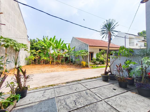 place photo 48