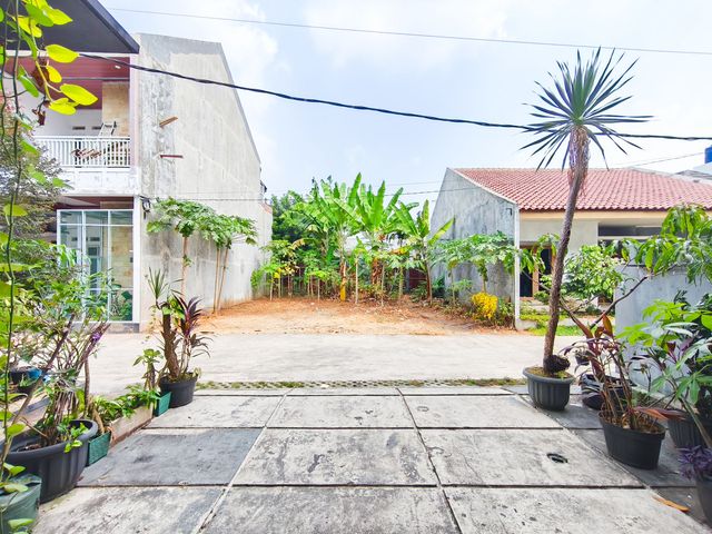 place photo 49
