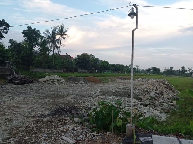 place photo 7