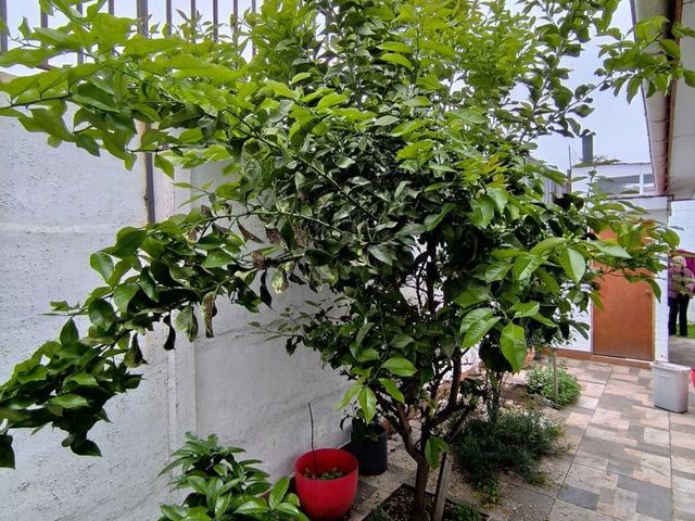 place photo 27