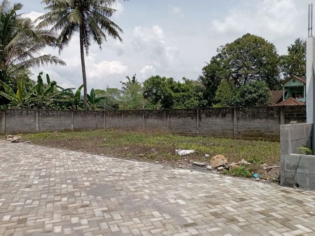 place photo 12