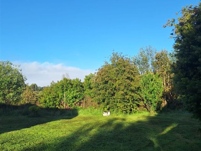 place photo 27