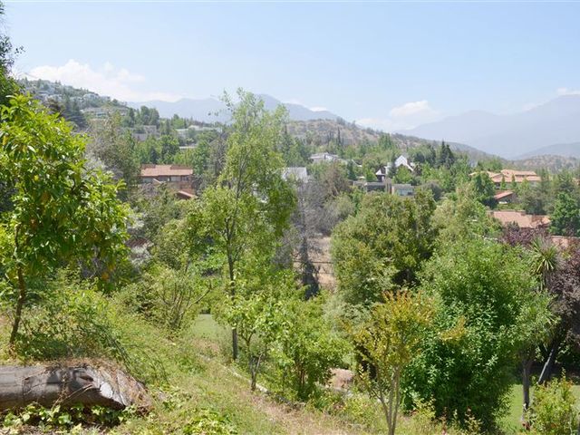 place photo 30