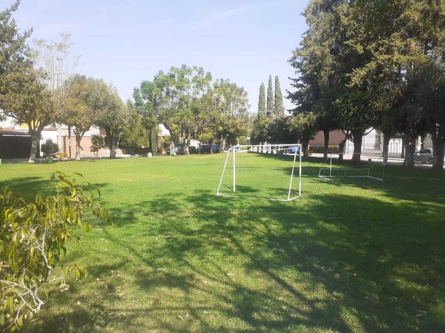 place photo 26