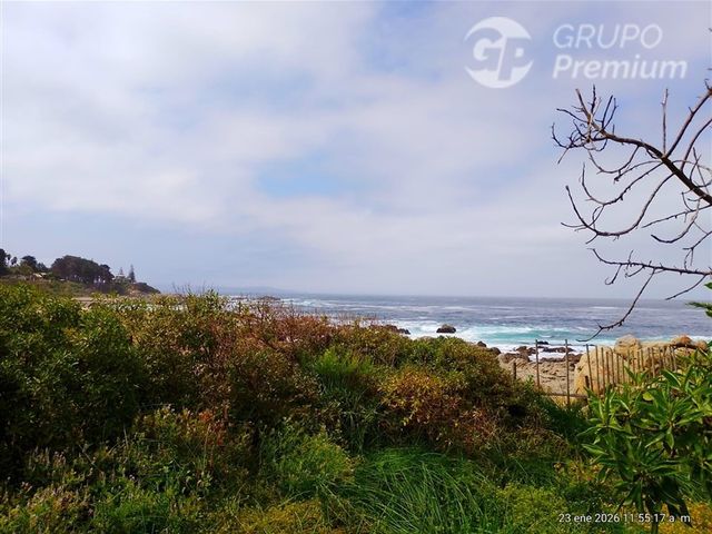 place photo 46
