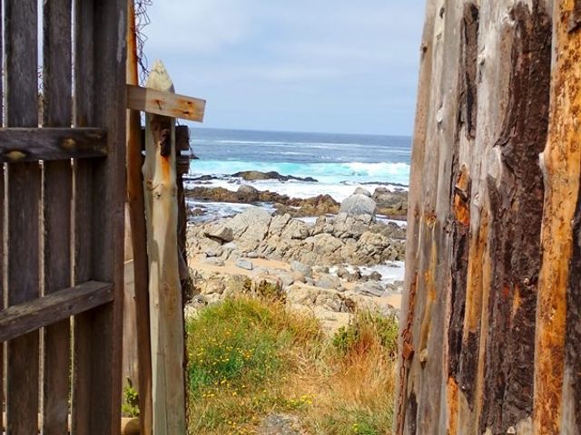 place photo 47