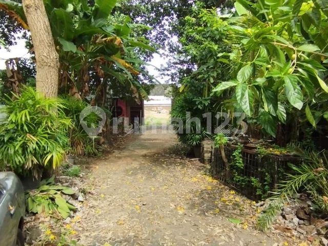 place photo 13