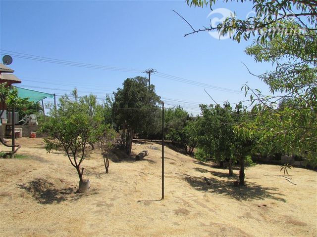 place photo 21