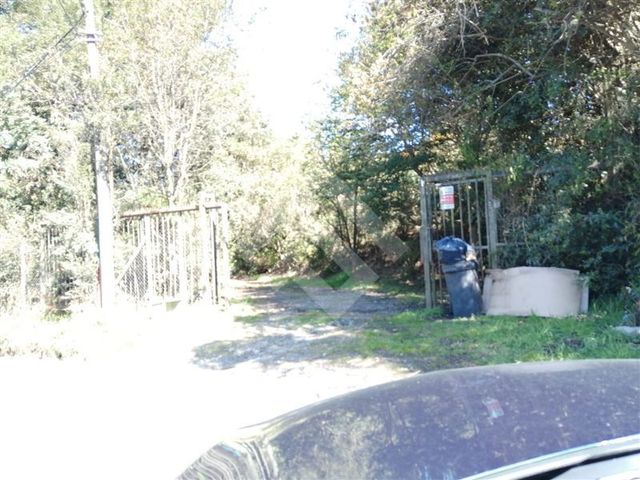 place photo 37