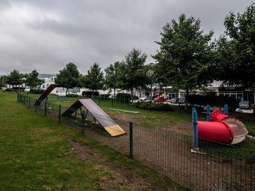 place photo 24