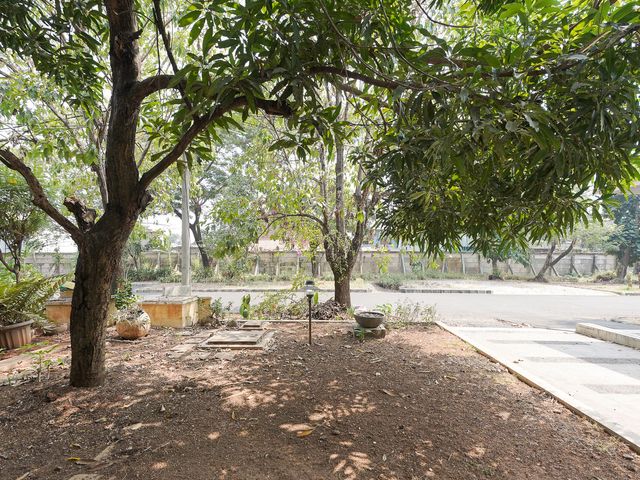 place photo 37