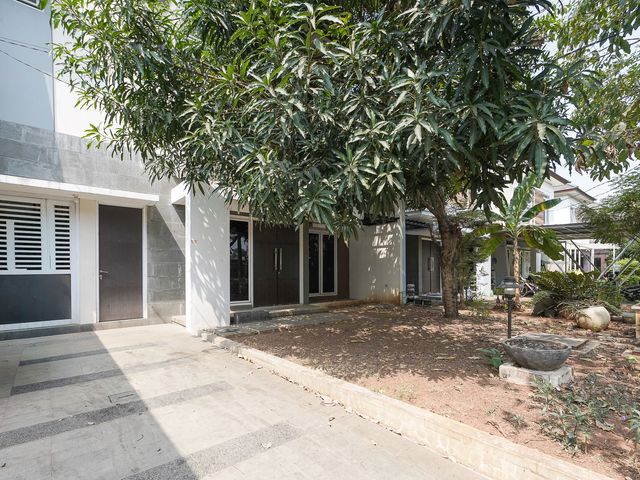 place photo 33