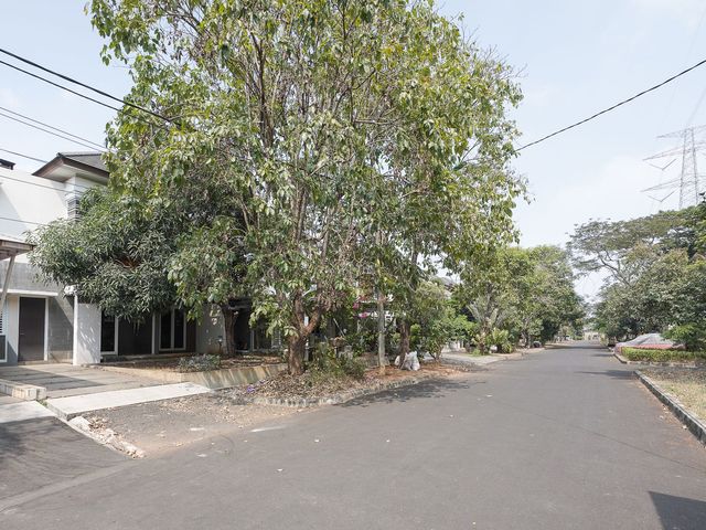 place photo 26