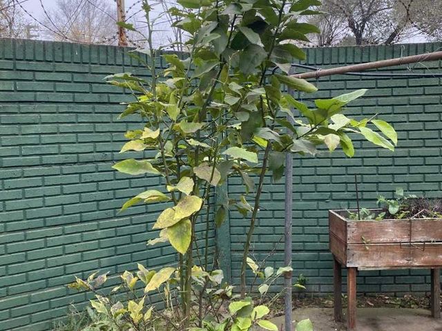 place photo 33