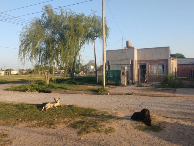 place photo 9