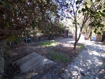 place photo 38