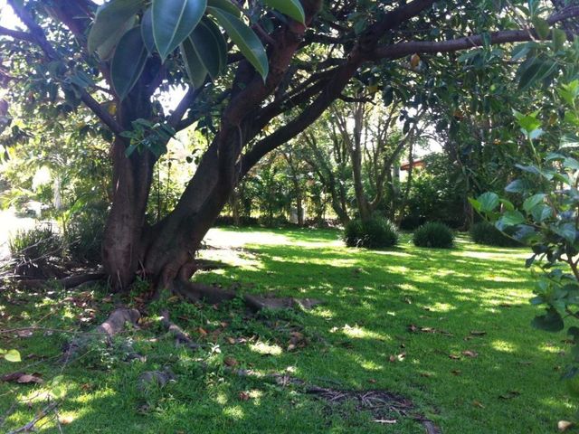place photo 47