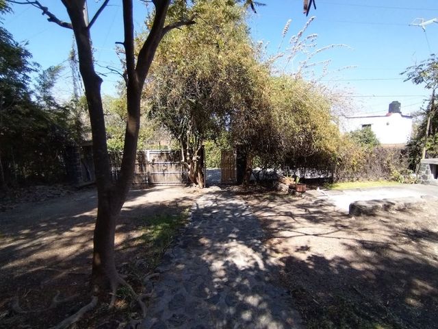 place photo 39