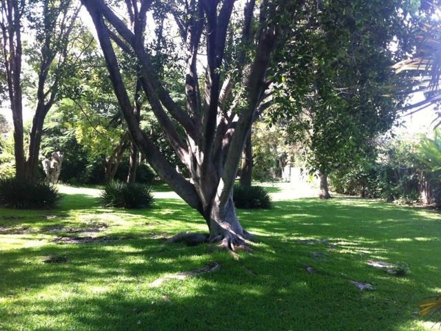 place photo 46