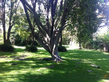 place photo 46