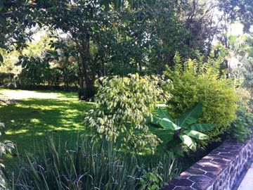 place photo 49