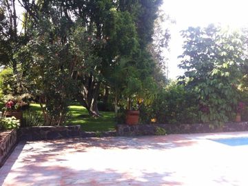 place photo 50
