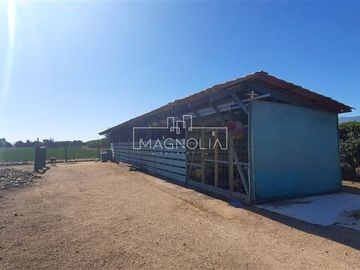 place photo 36