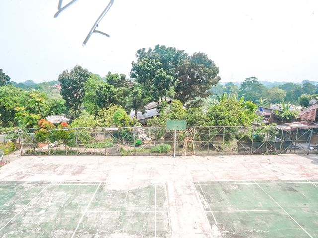 place photo 60