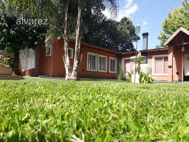 place photo 11