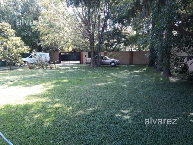 place photo 20