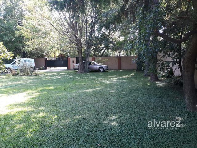 place photo 19