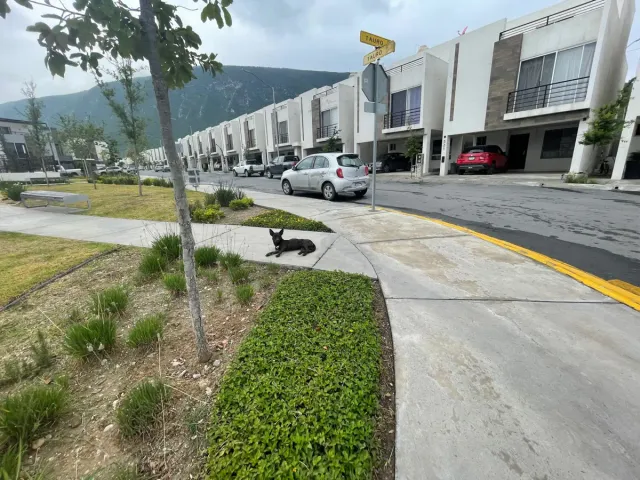 place photo 23