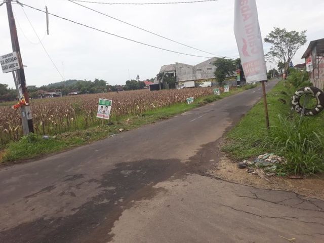 place photo 4