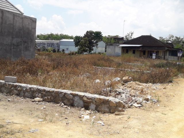 place photo 5