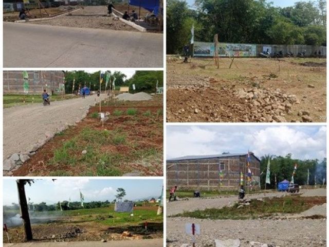 place photo 2