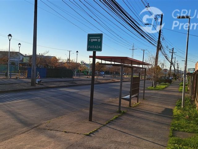 place photo 25