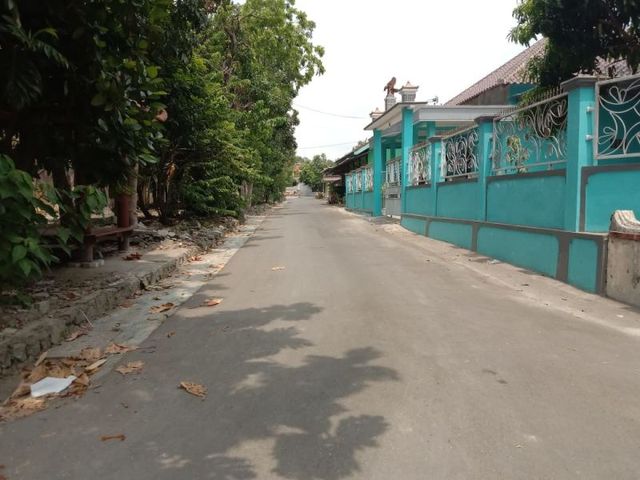 place photo 9