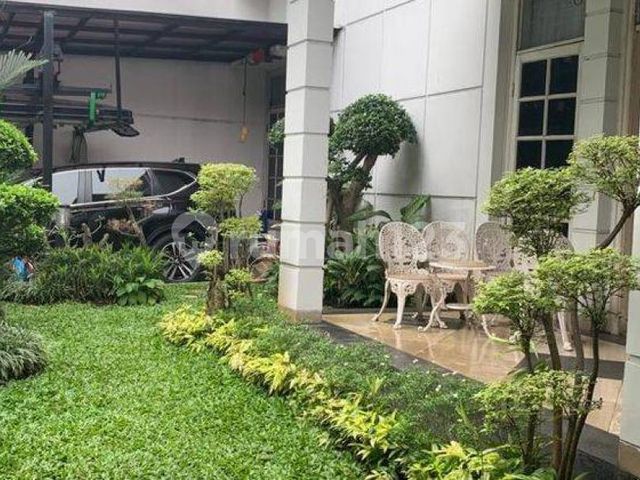 place photo 11