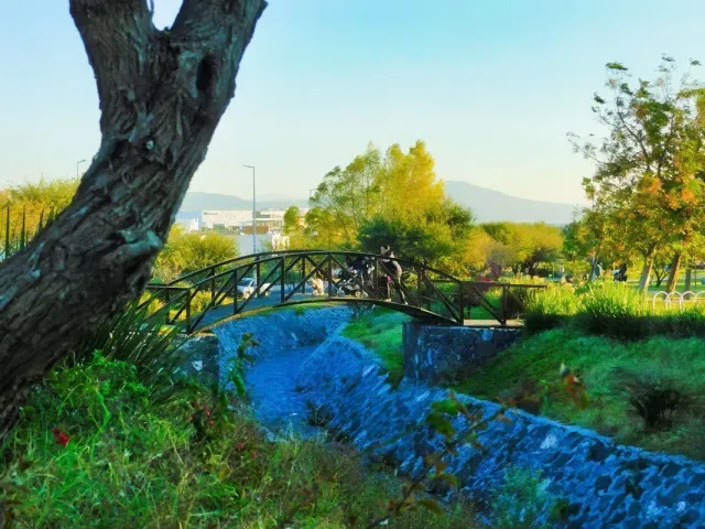 place photo 36