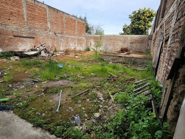 place photo 43
