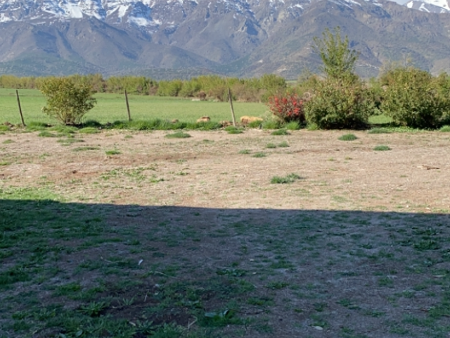 place photo 23