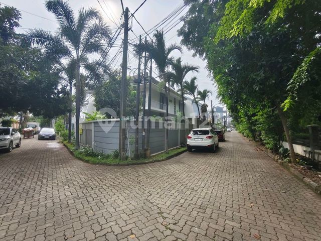 place photo 17