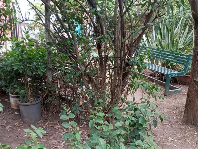 place photo 19