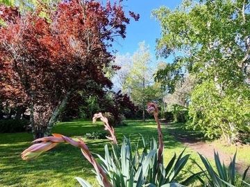 place photo 25