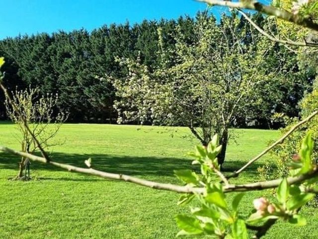 place photo 26