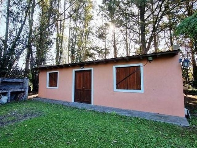 place photo 29