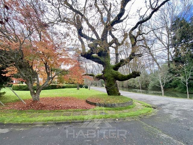 place photo 45