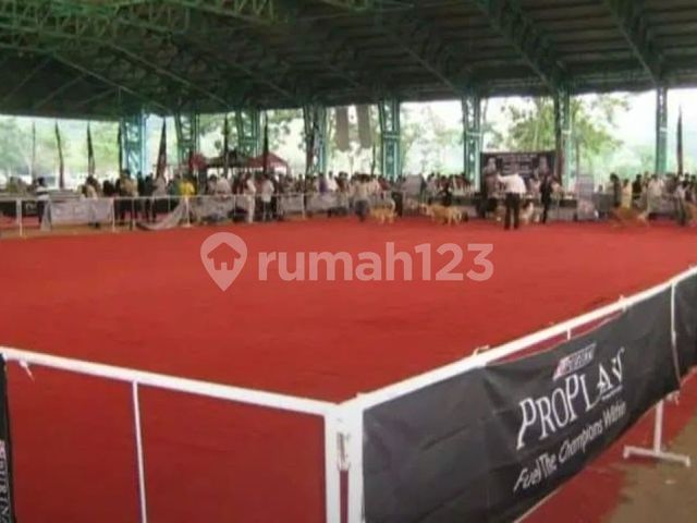 place photo 18