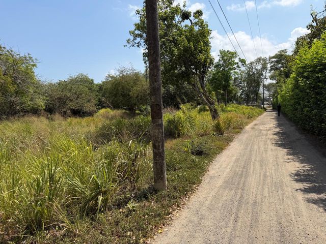 place photo 21