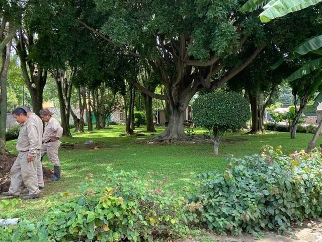 place photo 15